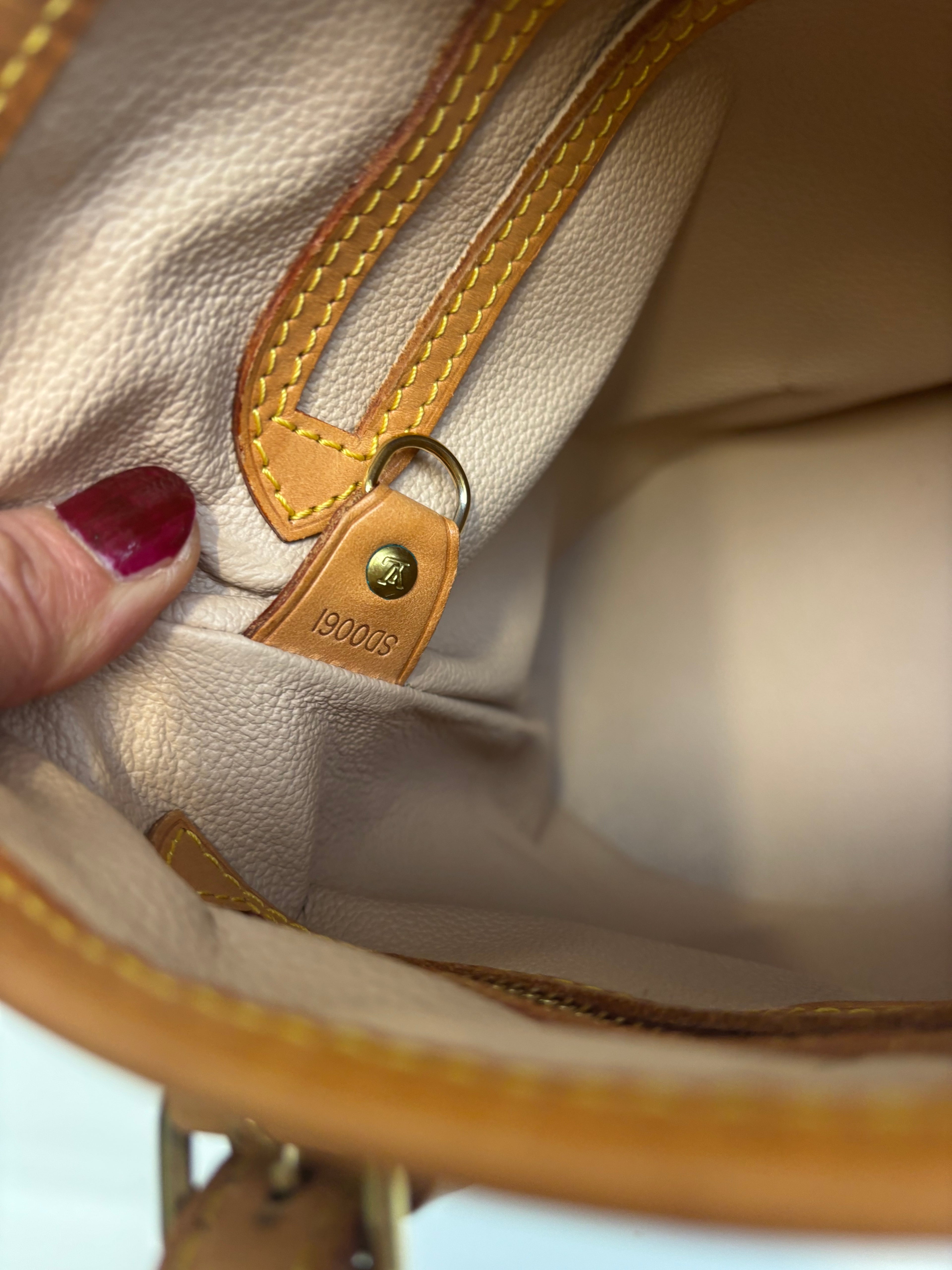 Louis Vuitton Tote Bag Bucket PM Brown Monogram