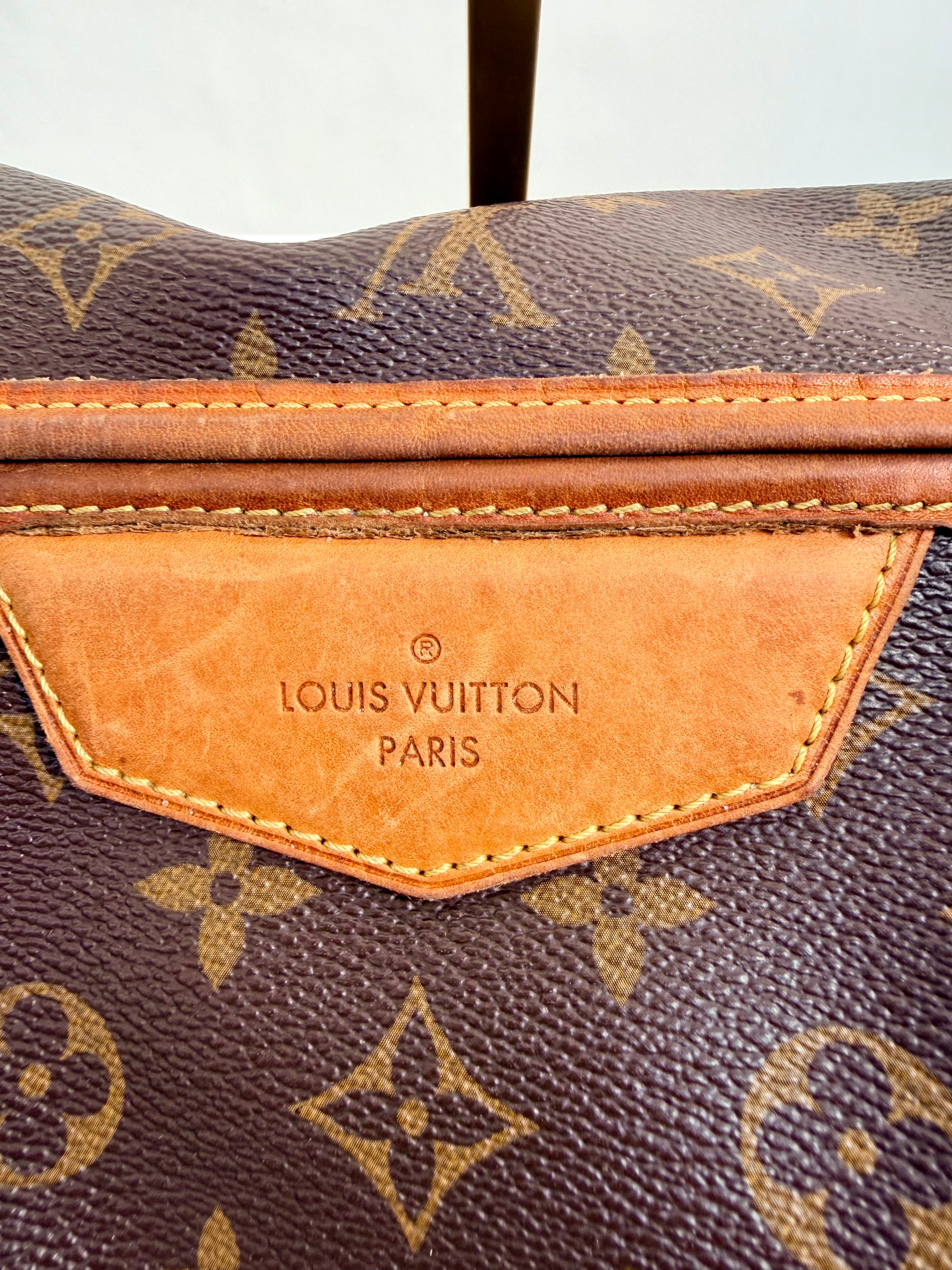 Louis Vuitton Estrela MM Monogram Shoulder & Crossbody Bag