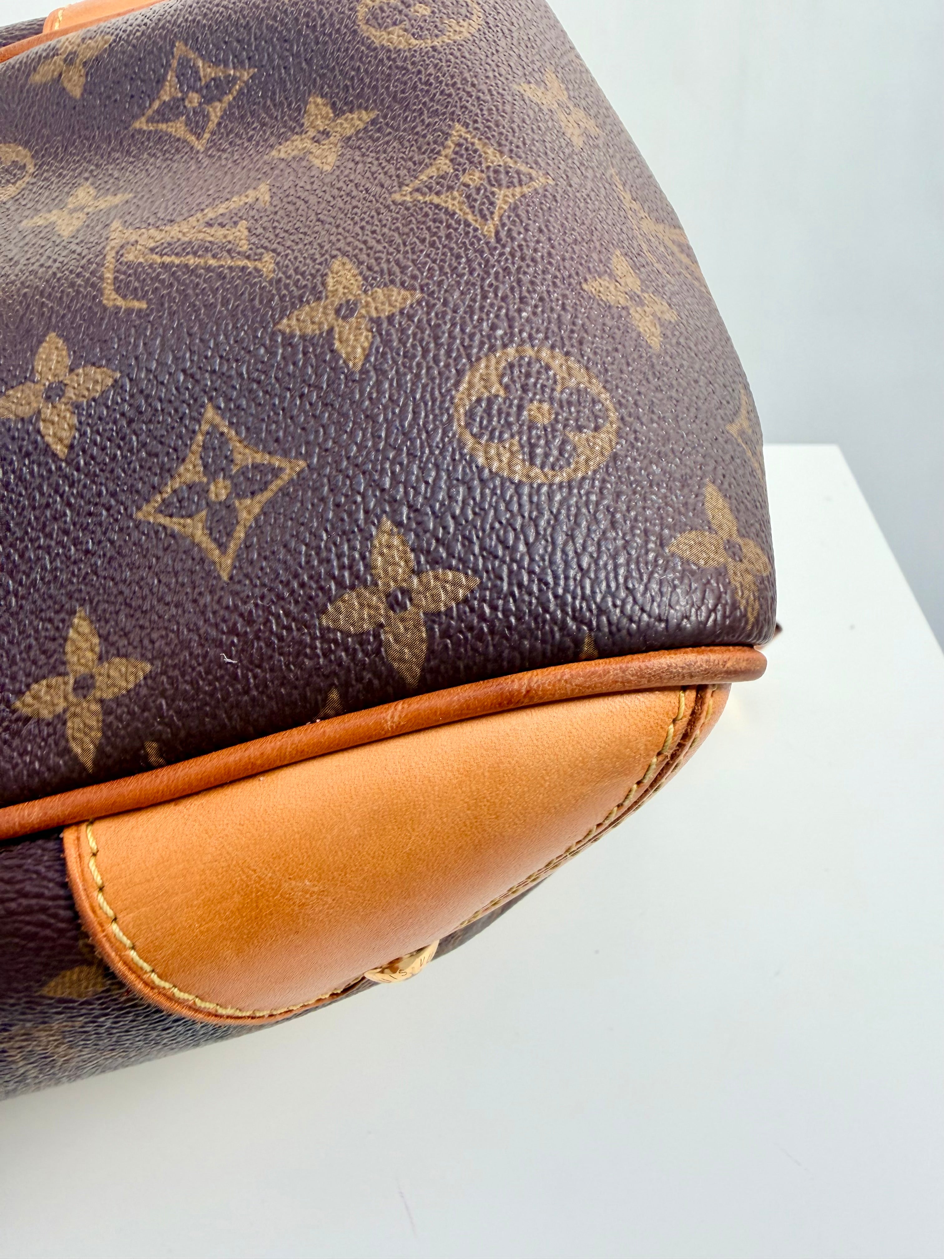 Louis Vuitton Estrela MM Monogram Shoulder & Crossbody Bag