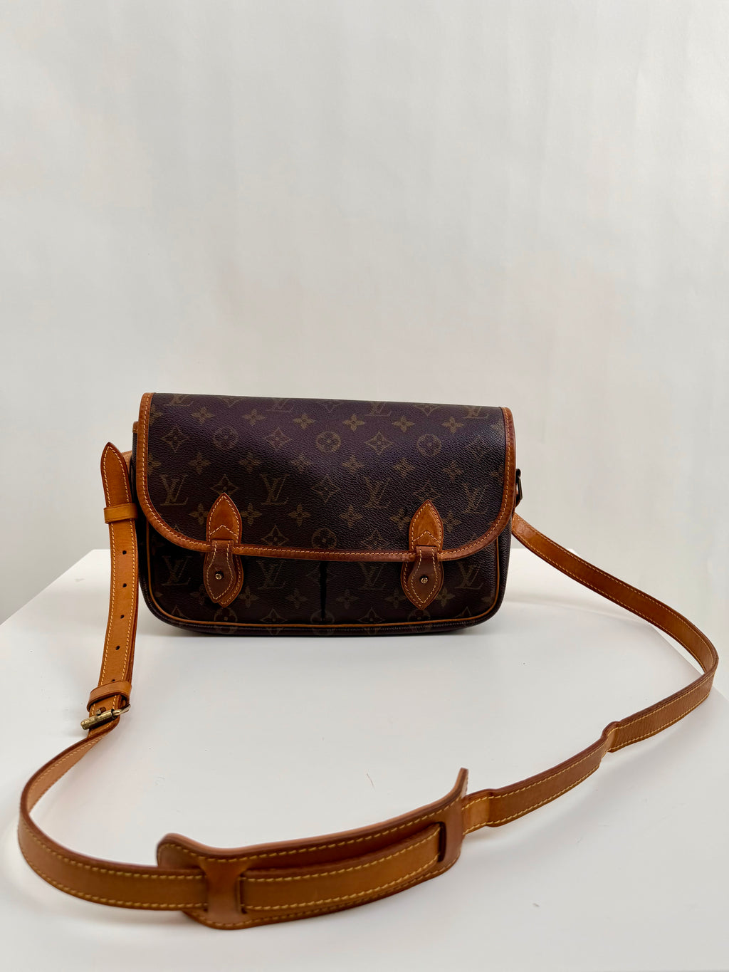 Louis Vuitton Gibecière MM Brown Monogram Crossbody Bag