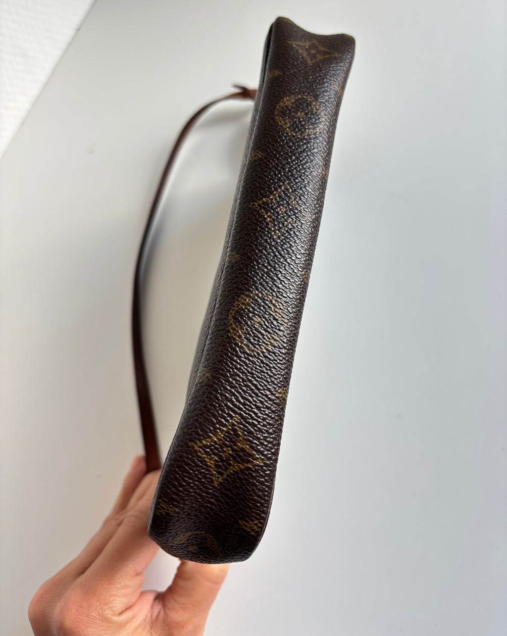 Louis Vuitton Pochette Accessoires Monogram Canvas Handbag