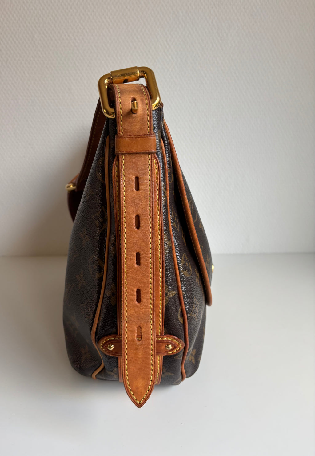 Louis Vuitton Tulum GM Monogram Brown Shoulder Bag