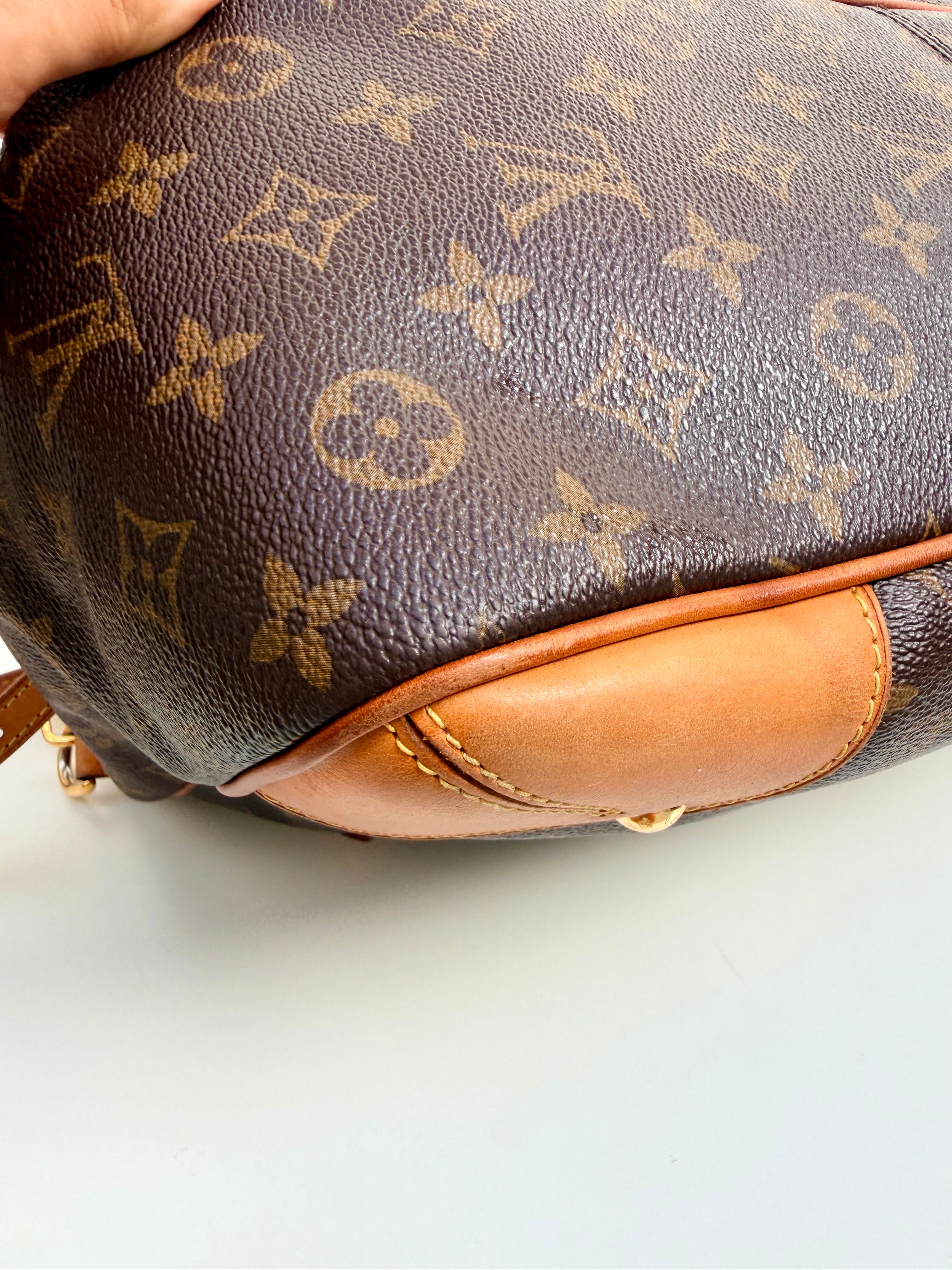 Louis Vuitton Estrela MM Monogram Shoulder & Crossbody Bag